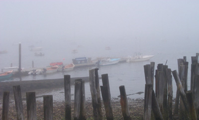 Moored Boats in Fog Pr0013